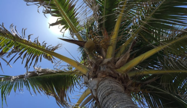 This is Florida’s best city to retire — and it’s not The Villages