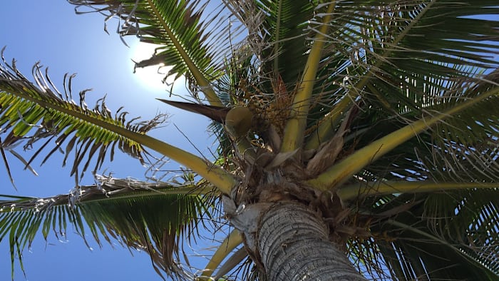 This is Florida’s best city to retire — and it’s not The Villages