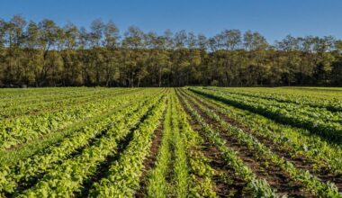 Farmlands in Putnam and Madison Counties set to be permanently protected from development