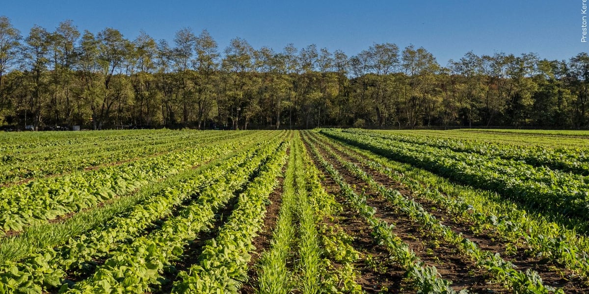 Farmlands in Putnam and Madison Counties set to be permanently protected from development