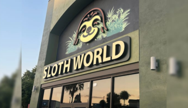 Lawmaker calls for criminal investigation after sloth dies following rescue from Orlando attraction