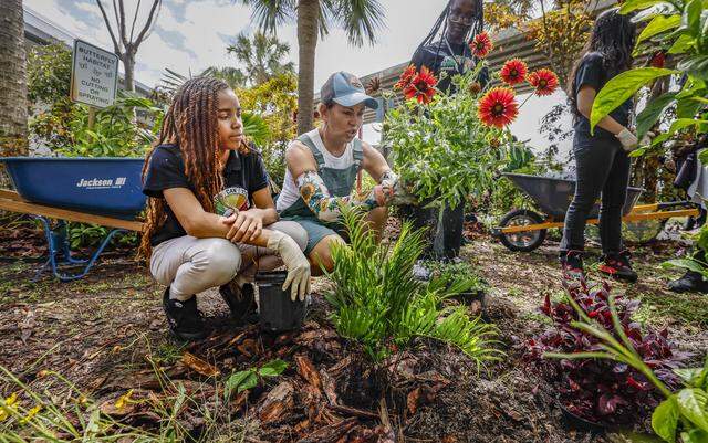 Elaine Fiore, native garden coordinator, seen at center, works with students as the school celebrates upcoming Earth Day, and the Miami Heat transforms the outdoor area at Driftwood Middle School by installing a new garden and updating the interior. Featuring a butterfly garden, planting beds, and indoor hydroponic towers, students help by planting flowers, vegetables, and greenery, creating a welcoming and peaceful environment in Hollywood, Florida, on Thursday, April 9, 2026.
