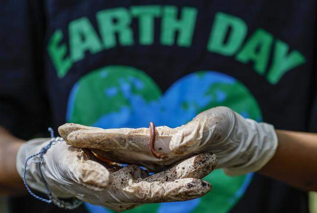 In celebration of Earth Day, the Miami Heat transforms the outdoor area at Driftwood Middle School by installing a new garden and updating the interior. Featuring a butterfly garden, planting beds, and indoor hydroponic towers, students help by planting flowers, vegetables, and greenery, creating a welcoming and peaceful environment in Hollywood, Florida, on Thursday, April 9, 2026. 