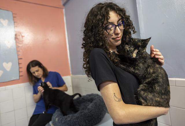 Luna Carvajal, 21, a cat adoption coordinator, holds Hera, who is up for adoption, at Abandoned Pet Rescue on Wednesday, April 1, 2026, in Fort Lauderdale, Fla. The shelter is one of the largest no-kill animal shelters in South Florida and is now celebrating its 30th anniversary.