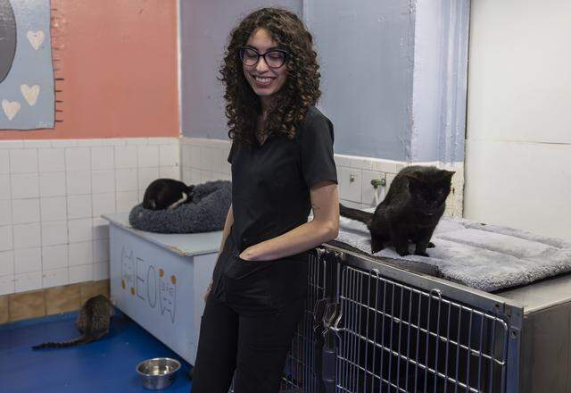 Luna Carvajal, 21, a cat adoption coordinator, reacts next to Stalker, center-right, who is up for adoption, at Abandoned Pet Rescue on Wednesday, April 1, 2026, in Fort Lauderdale, Fla. The shelter is one of the largest no-kill animal shelters in South Florida and is now celebrating its 30th anniversary.