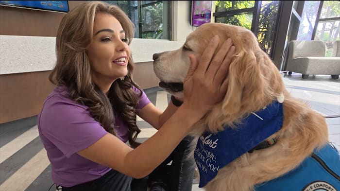 ‘Puddles of love:’ K-9 comfort dog Moriah brings calm to domestic abuse survivors at Harbor House