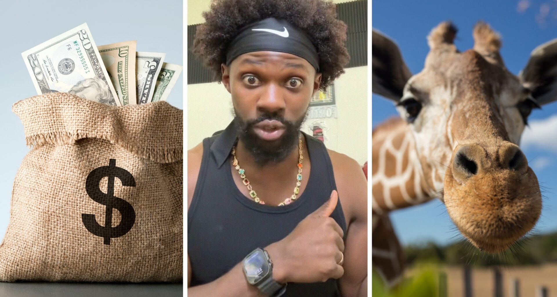 a lot of money (l) man shares zoo experience (c) zoo animal (r)