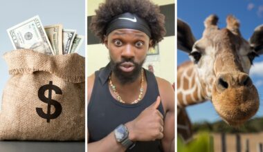 a lot of money (l) man shares zoo experience (c) zoo animal (r)
