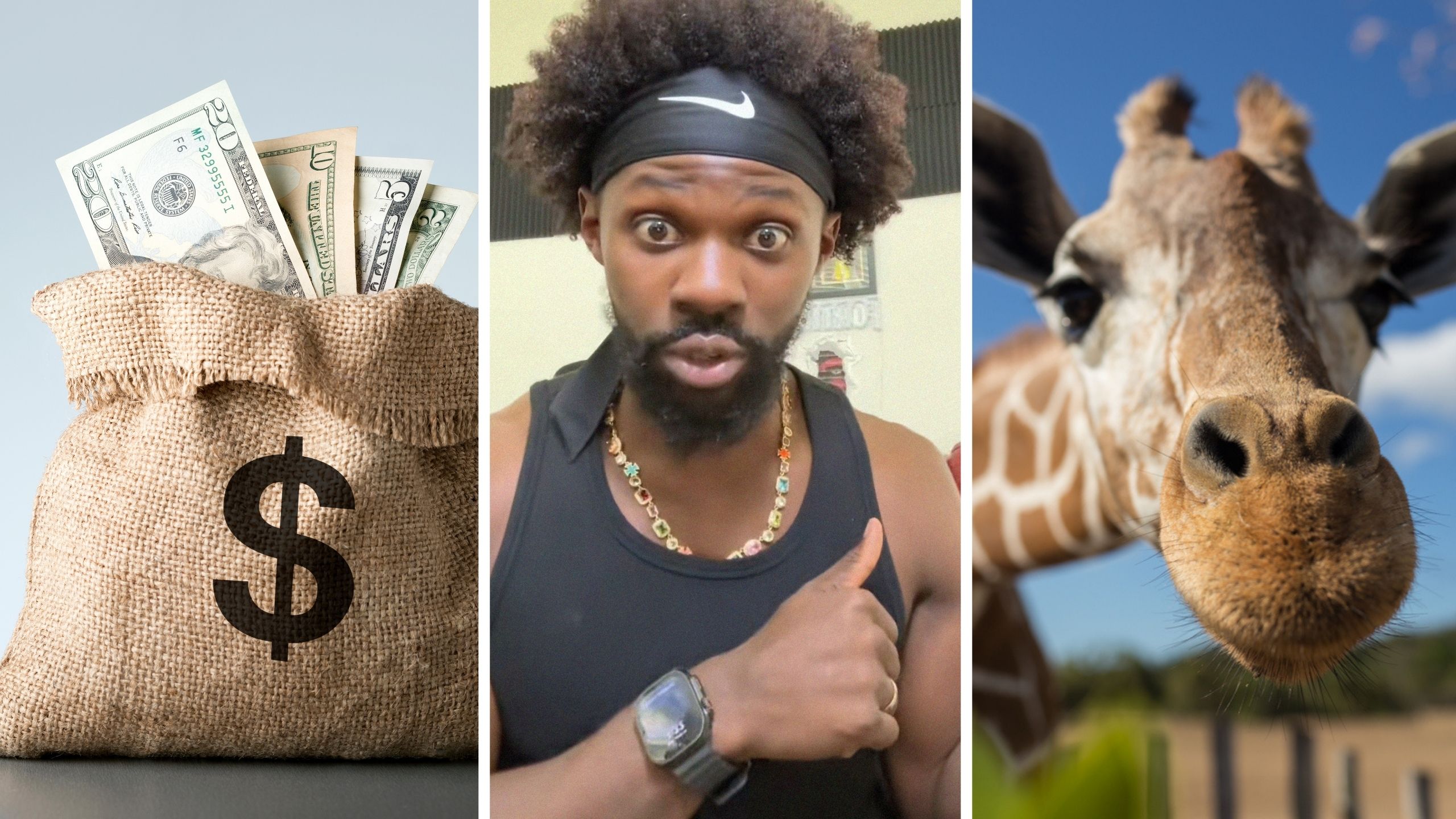 a lot of money (l) man shares zoo experience (c) zoo animal (r)