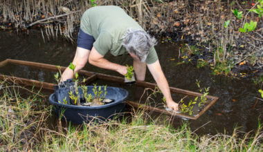 Three major ways Florida’s new law will boost coastal resiliency