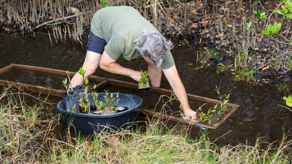 Three major ways Florida’s new law will boost coastal resiliency