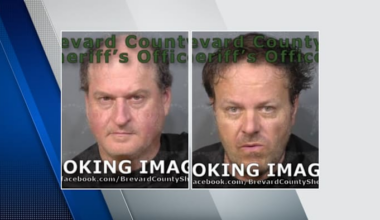 Tourists haul dead alligator across Central Florida counties, FWC says