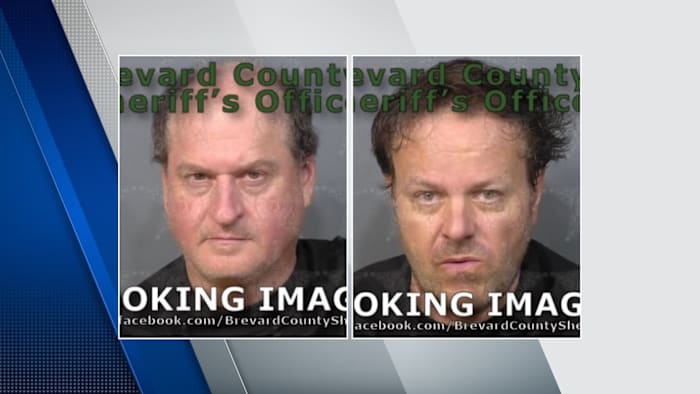 Tourists haul dead alligator across Central Florida counties, FWC says