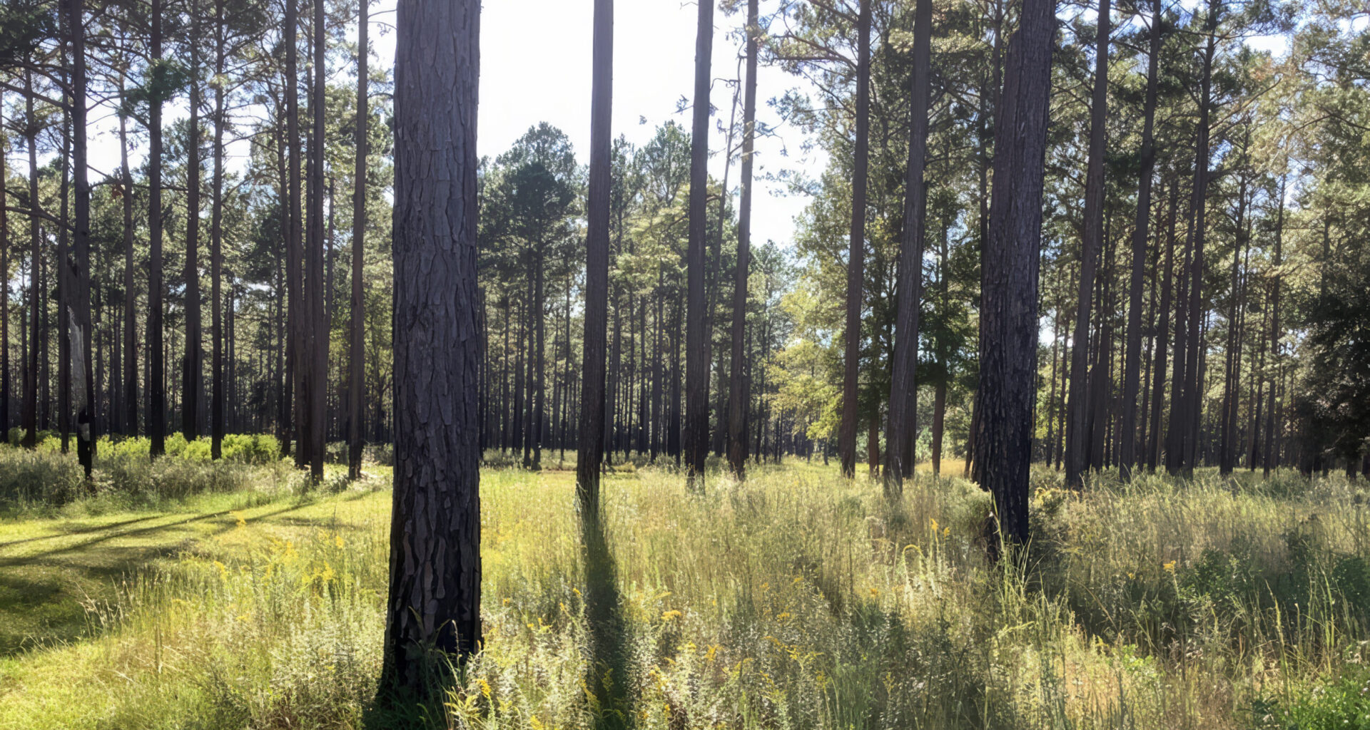 Conservation deal adds 1,600 acres to state's Wildlife Corridor