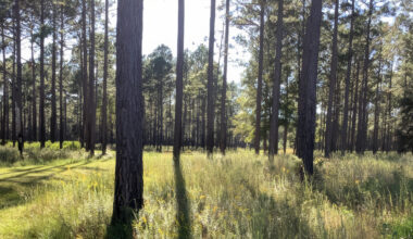 Conservation deal adds 1,600 acres to state's Wildlife Corridor