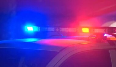 Police conduct investigation after a woman is found dead on South Dale Mabry Highway