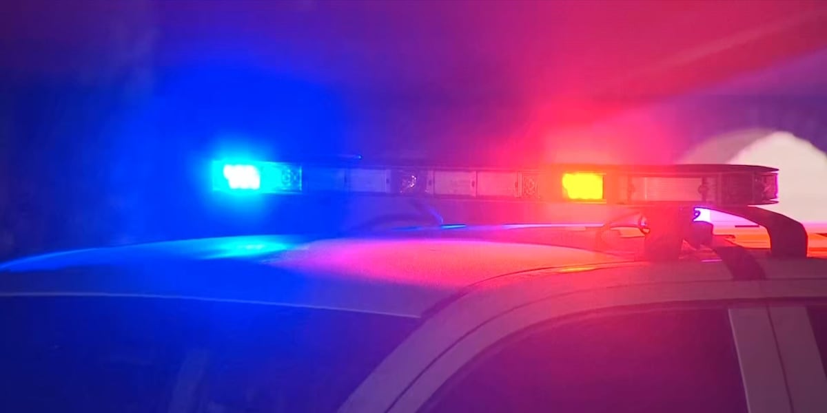 Police conduct investigation after a woman is found dead on South Dale Mabry Highway