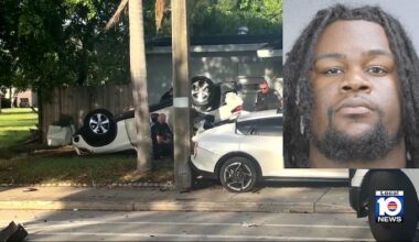 Report details Sunrise domestic case that led to chase, crash, several hurt