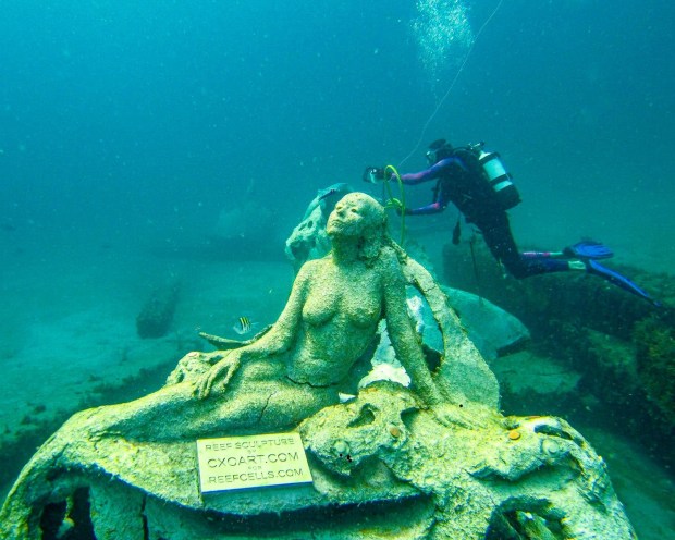 The Ocean Rescue Alliance (ORA) is looking to save South Florida seas one artificial reef at a time. One of their main projects is to create reef sculptures in the form of mermaids to bring art and public attention to the challenge of the dying out of reefs. This an example of a reef created and sunk into the ocean by ORA and the 1000 Mermaids Project. (Photo courtesy of ORA)