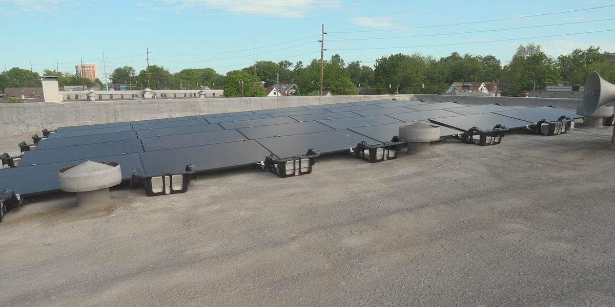 DeSantis signs law banning Florida local net-zero greenhouse gas emission policies
