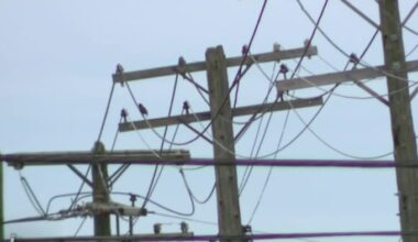 Beaches Energy outage affects thousands in Neptune Beach, Jacksonville Beach