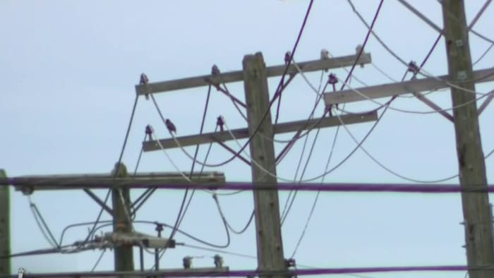 Beaches Energy outage affects thousands in Neptune Beach, Jacksonville Beach