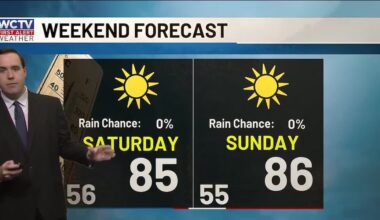 Feeling like summer for the weekend ☀️