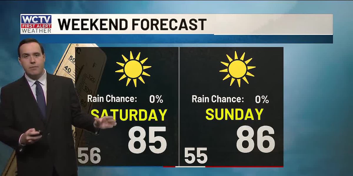 Feeling like summer for the weekend ☀️