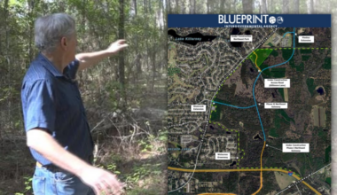 Conservationists sue Tallahassee governments, says they broke promise to preserve forest during gateway project