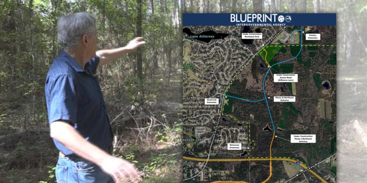 Conservationists sue Tallahassee governments, says they broke promise to preserve forest during gateway project