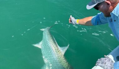 DDWS reports on refuge programming and more - SANIBEL-CAPTIVA