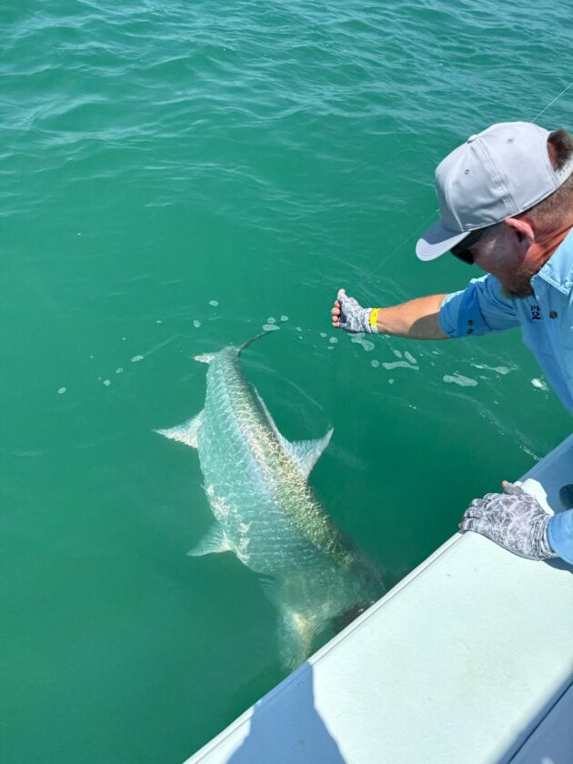 DDWS reports on refuge programming and more - SANIBEL-CAPTIVA