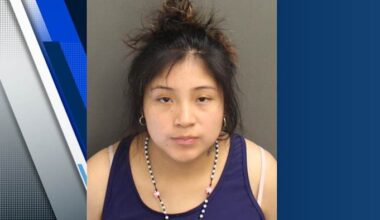 19-year-old accused of abandoning newborn pleads guilty; will be deported