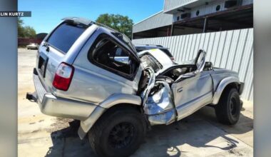 Woman survives rollover crash after hitting 9-foot alligator in roadway
