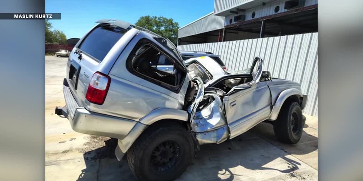 Woman survives rollover crash after hitting 9-foot alligator in roadway