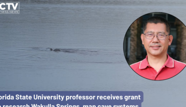 FSU professor receives grant to research Wakulla Springs, map cave systems