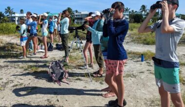Bridging gap between research, public engagement - SANIBEL-CAPTIVA
