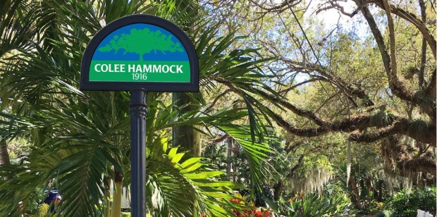 The leafy, historic Colee Hammock neighborhood is less than a mile from the site of the new City Hall.