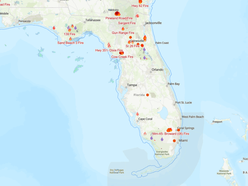 Florida is experiencing one of the worst wildfire seasons in decades