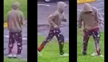 Man exposed himself, then attacked woman in Broward park: BSO