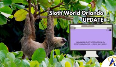 Sloth World orlando shut down website