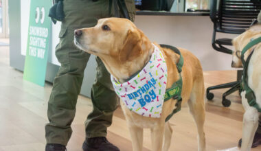 Celebrating Snowbird’s Birthday – The Crow's Nest