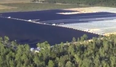 Tallahassee to Advance Solar and Battery Storage Expansion Plans with $1m Study – Tallahassee Reports