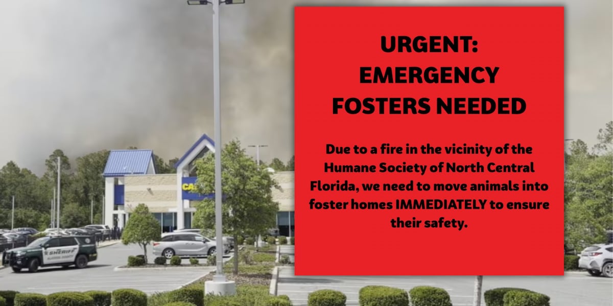 Humane Society of North Central Florida make emergency call for fosters due to nearby brush fire