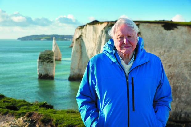 Sir David Attenborough narrates National Geographic's "Ocean," which will be shown at Glazer Hall in Palm Beach on April 22. (Glazer Hall/Courtesy)