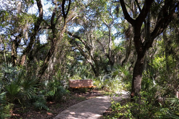 Delray Oaks Natural Area has a memorial bench for quiet time (Palm Beach County Department of Environmental Resources Management/courtesy).