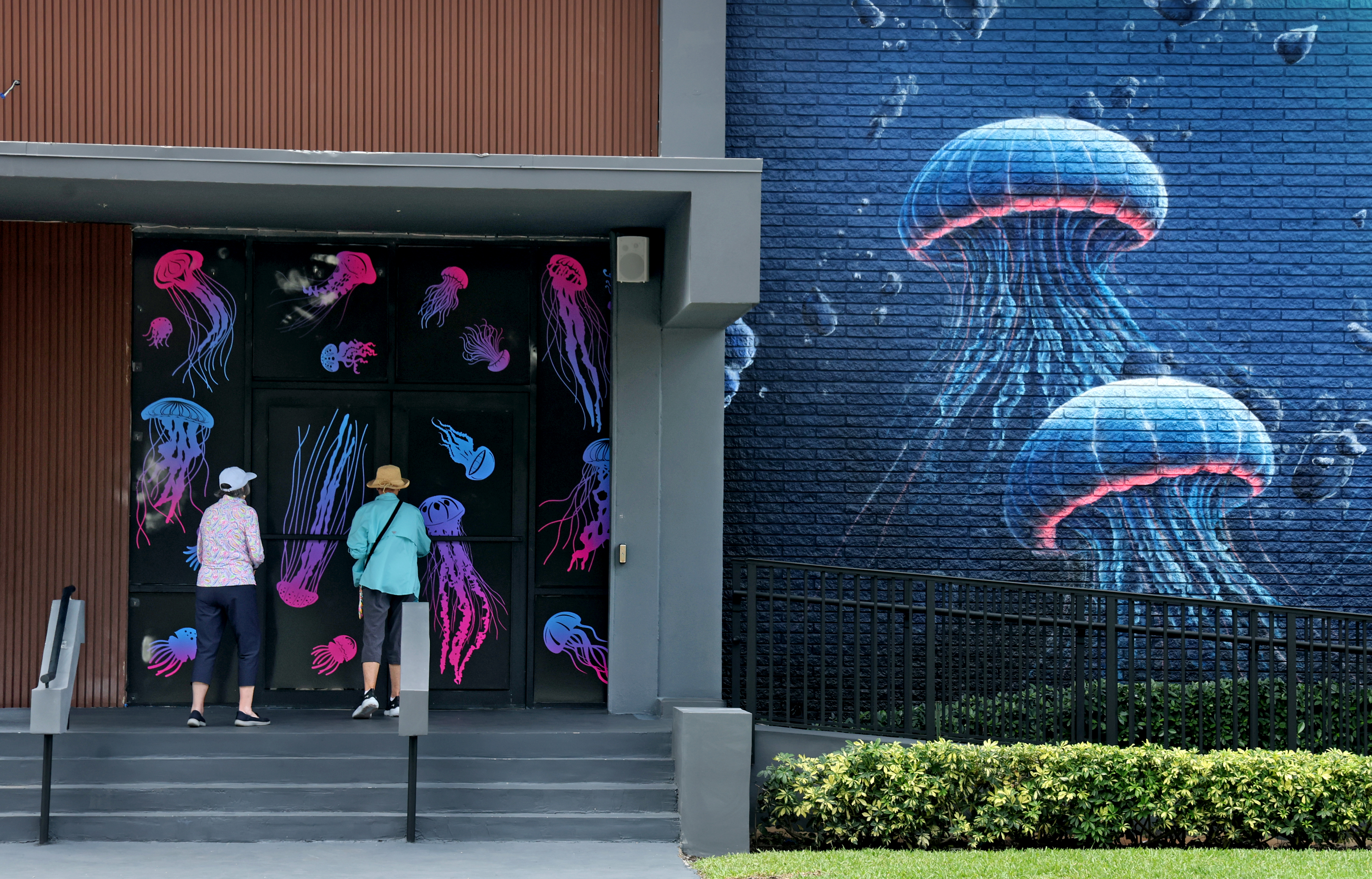 Visitors enter the newly opened Jellyfish Museum in Pompano Beach...
