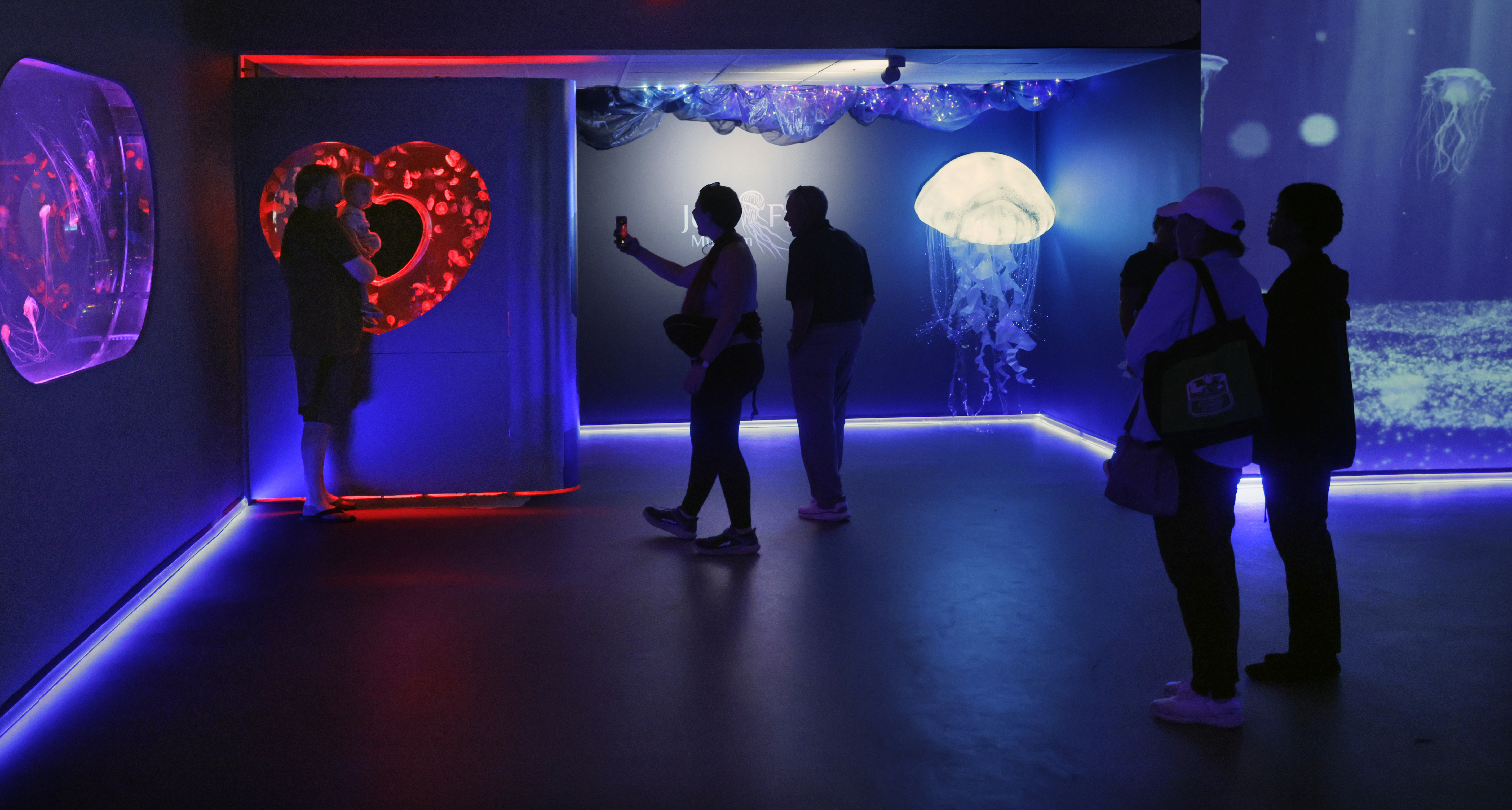 Visitors take photos at the newly opened Jellyfish Museum in...