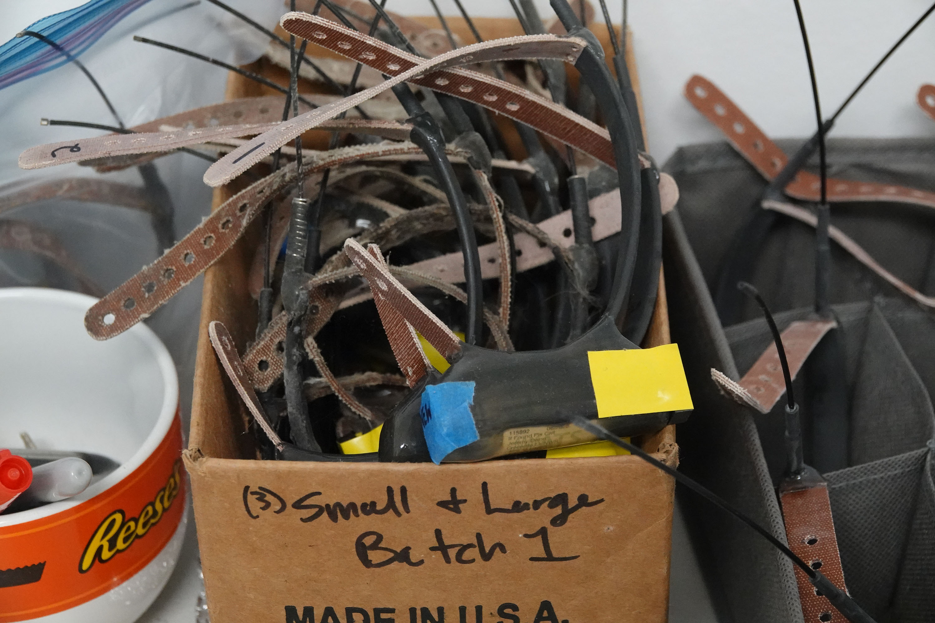 Radio collars that will be placed on possums are seen on Wednesday, at the Crocodile Lake National Wildlife Refuge in Key Largo. (Joe Cavaretta/South Florida Sun Sentinel)