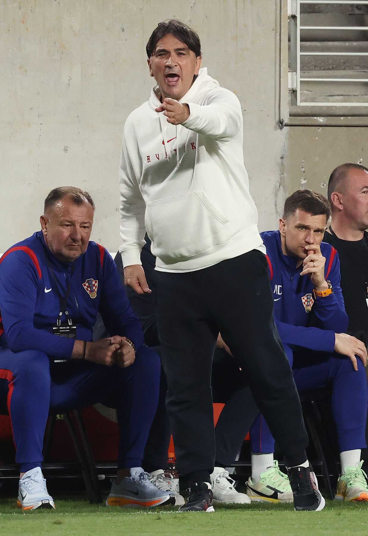 Croatia head coach Zlatko Dalic coaches during the Brazil vs....